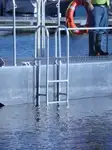 Containerskip til salgs