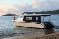 Cruiseskip til salgs