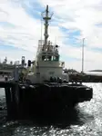 Taubåt til salgs