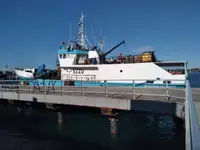 Tråler til salgs