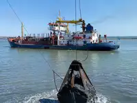 Dredge til salgs