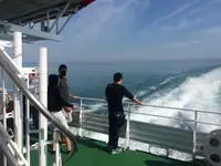 Cruiseskip til salgs