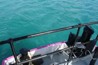 General Cargo/Multi-purpose til salgs