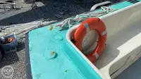 Cruiseskip til salgs