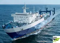 Ro-Ro ship til salgs