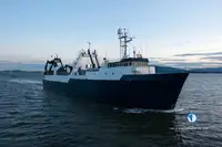 Trawler til salgs