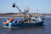 Purse seiner til salgs