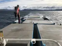 Arbeidsbåter til salgs