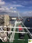 Bulktransportør til salgs