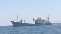 Containerskip til salgs