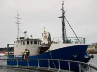 Trawler til salgs