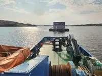 Slepebåt til salgs