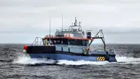 Containerskip til salgs