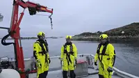 Slepebåt til salgs