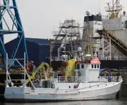 Containerskip til salgs