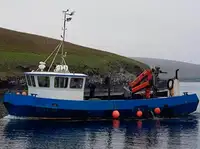 Arbeidsbåter til salgs