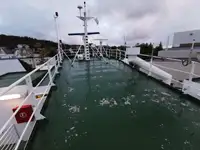 Bulktransportør til salgs