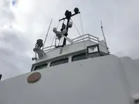 Arbeidsbåter til salgs