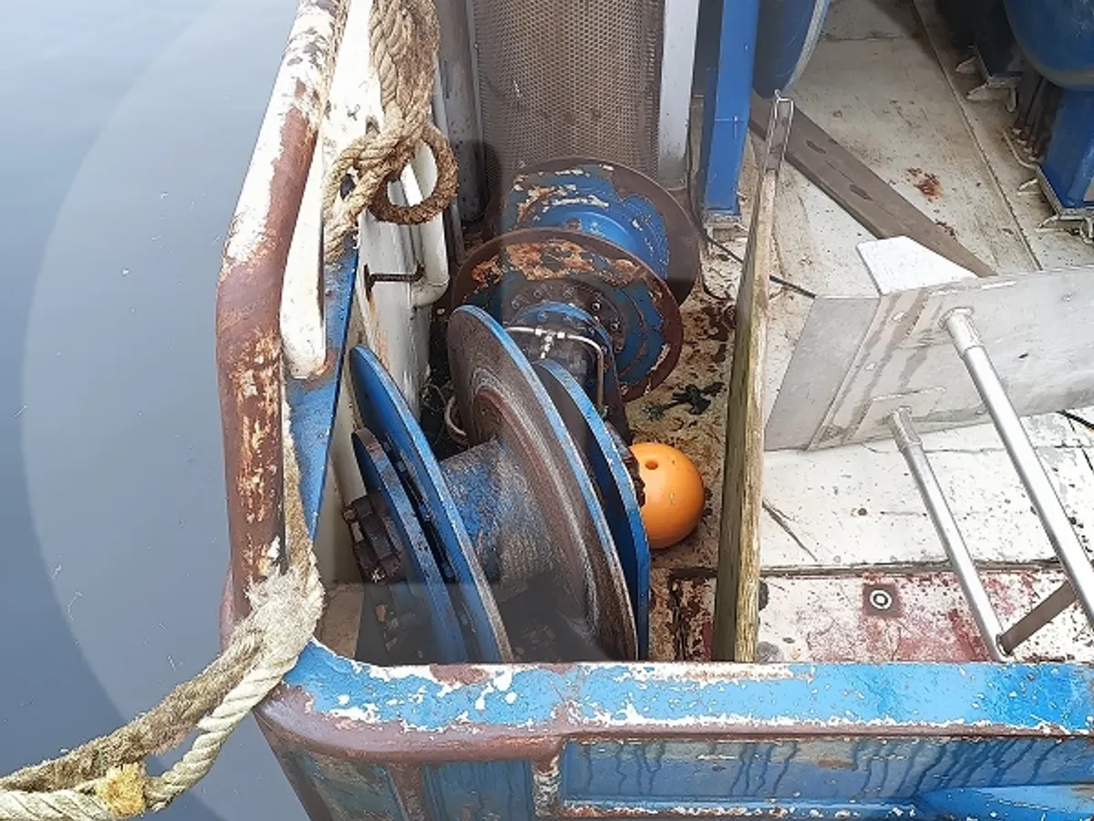 Levende fiskebåt til salgs
