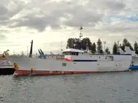 Langlinjetråler til salgs