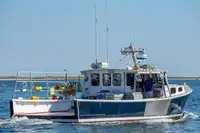 Purse seiner til salgs