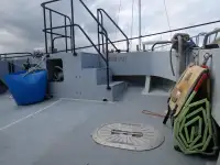 Katamaran til salgs