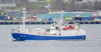 Purse seiner til salgs