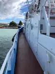 Slepebåt til salgs