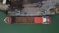 Bulktransportør til salgs