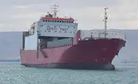 Ro-Ro ship til salgs