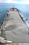 Containerskip til salgs