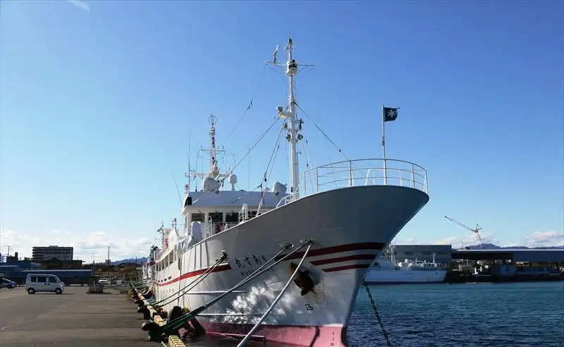 Kartleggingsfartøy til salgs