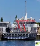 Kartleggingsfartøy til salgs