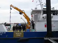 Katamaran til salgs