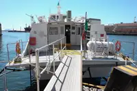 Hydrofoil til salgs