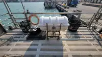 Containerskip til salgs
