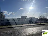 Cruiseskip til salgs