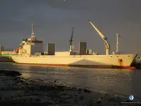 Kjøleskip til salgs