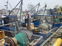 Levende fiskebåt til salgs