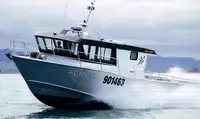 Fergefartøy til salgs