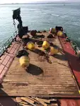 Dredge til salgs
