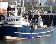 Beamtråler til salgs