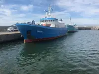 Kjøleskip til salgs