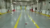 Ro-Ro ship til salgs