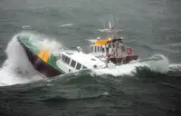 Pilotbåt til salgs