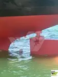 Bulktransportør til salgs