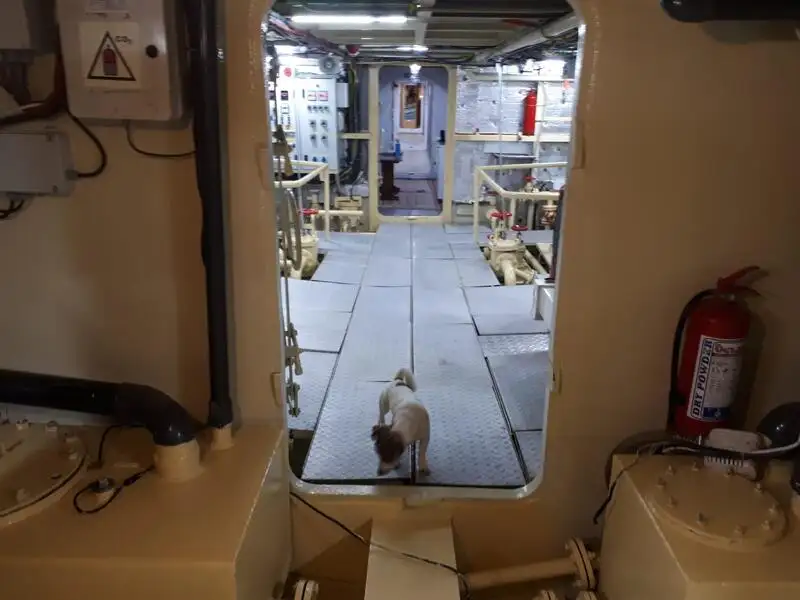 General Cargo/Multi-purpose til salgs