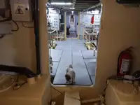 General Cargo/Multi-purpose til salgs