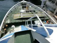 Cruiseskip til salgs