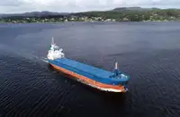 Bulktransportør til salgs